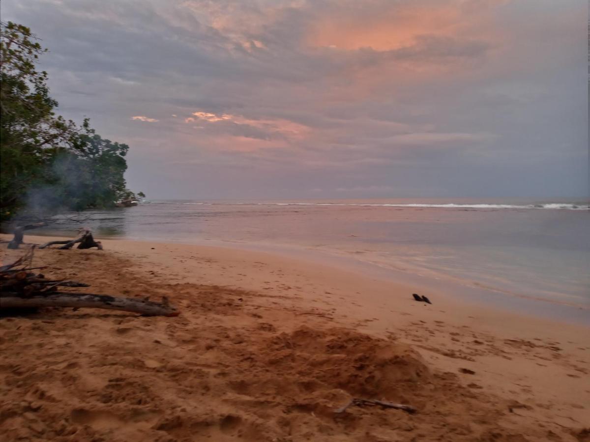 Vila Jungle Paunch Bocas del Toro Exteriér fotografie